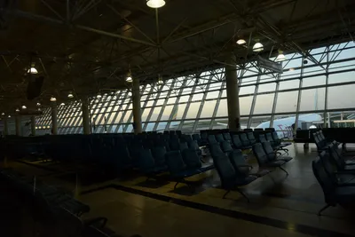 DSC_7463 (Large).JPG